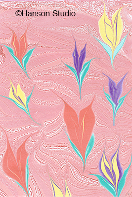 Yellow Red and Pink Crocus